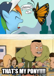 Size: 275x388 | Tagged: artist needed, safe, edit, rainbow dash, butterfly, pegasus, pony, beavis, beavis and butthead, bradley buzzcut, butthead, coach buzzcut, image macro, meme, that's my x