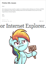 Size: 702x960 | Tagged: safe, artist:scrimpeh, derpibooru import, rainbow dash, pegasus, pony, :t, blog, derpibooru, frown, hoof hold, internet explorer, internet explorer drama, meta, no, solo, text, unamused