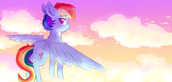 Size: 2500x1200 | Tagged: safe, artist:shiny-cooler, derpibooru import, rainbow dash, pegasus, pony, chest fluff, cloud, flying, solo, sunset