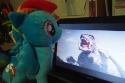 Size: 2544x1696 | Tagged: safe, artist:dynasty-dawn, photographer:dynasty-dawn, rainbow dash, computer, gamera, irl, laptop computer, movie, photo, plushie, toy