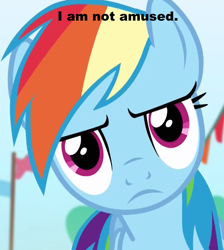 Size: 631x703 | Tagged: safe, rainbow dash, pegasus, pony, image macro, meme, solo, unamused