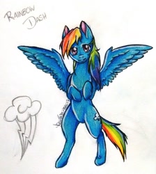 Size: 1024x1141 | Tagged: safe, artist:liswyn, derpibooru import, rainbow dash, pegasus, pony, bipedal, solo, spread wings, traditional art