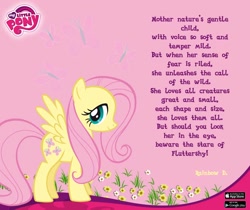 Size: 940x788 | Tagged: safe, fluttershy, rainbow dash, pegasus, pony, description, female, mare, simple background, solo