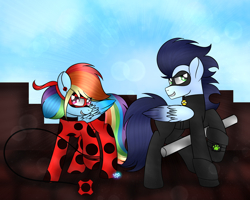Size: 1024x819 | Tagged: safe, artist:northlights8, derpibooru import, rainbow dash, soarin', pegasus, pony, chat noir, clothes, costume, crossover, female, male, miraculous ladybug, shipping, soarindash, straight