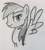 Size: 1855x2047 | Tagged: safe, artist:xain-russell, rainbow dash, pegasus, pony, monochrome, sketch, solo, traditional art