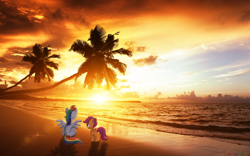 Size: 1920x1200 | Tagged: safe, artist:colorfulbrony, artist:quanno3, artist:tamalesyatole, rainbow dash, scootaloo, beach, irl, palm tree, photo, plot, ponies in real life, scootalove, sunset, tree, vector