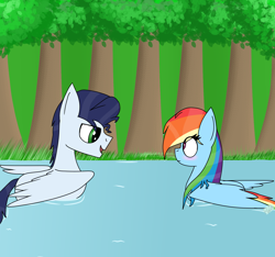 Size: 1600x1500 | Tagged: safe, artist:rai2n, derpibooru import, rainbow dash, soarin', duck pony, pegasus, pony, behaving like a bird, blushing, male, pond, shipping, soarindash, straight