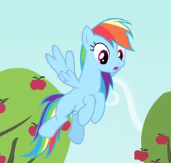 Size: 300x285 | Tagged: safe, derpibooru import, screencap, rainbow dash, pegasus, pony, bats!, cropped, cute, solo