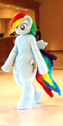 Size: 350x694 | Tagged: safe, artist:koowan, rainbow dash, human, cosplay, fursuit, irl, irl human, photo, solo