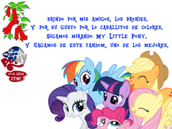 Size: 771x577 | Tagged: safe, derpibooru import, applejack, fluttershy, pinkie pie, rainbow dash, rarity, twilight sparkle, earth pony, pegasus, pony, unicorn, bronies chile, chile, fandom, mane six, spanish