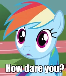 Size: 568x658 | Tagged: safe, edit, screencap, rainbow dash, pegasus, pony, how dare you?, image macro, meme, solo, text edit