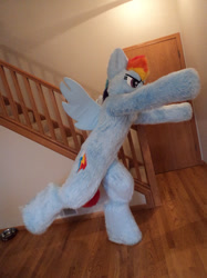 Size: 500x667 | Tagged: safe, artist:pwsuits, rainbow dash, human, cosplay, fursuit, irl, irl human, photo, solo