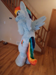 Size: 500x667 | Tagged: safe, artist:pwsuits, rainbow dash, human, cosplay, fursuit, irl, irl human, photo, solo