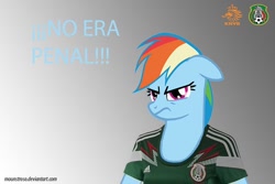 Size: 600x400 | Tagged: safe, rainbow dash, pegasus, pony, angry, clothes, jersey, mexico, netherlands, no era penal, solo