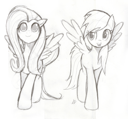 Size: 2480x2298 | Tagged: safe, artist:moxie2d, fluttershy, rainbow dash, pegasus, pony, monochrome, traditional art, walking