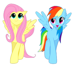 Size: 800x741 | Tagged: safe, artist:dashie-so-cute, artist:moxie2d, fluttershy, rainbow dash, pegasus, pony, simple background, transparent background, vector, walking