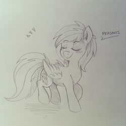 Size: 1440x1440 | Tagged: safe, artist:bloodyhellhayden, rainbow dash, pegasus, pony, monochrome, solo, traditional art