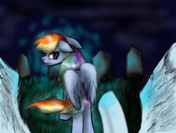 Size: 1024x768 | Tagged: safe, artist:neonspirit17, derpibooru import, rainbow dash, soarin', pegasus, pony, male, offscreen character, pov, shipping, soarindash, straight