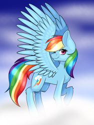 Size: 1200x1600 | Tagged: safe, artist:rdstartie, derpibooru import, rainbow dash, pegasus, pony, cloud, one eye closed, raised hoof, solo, spread wings, wink