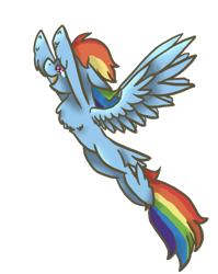 Size: 1824x2296 | Tagged: safe, artist:ashleybances, derpibooru import, rainbow dash, pegasus, pony, chest fluff, flying, simple background, solo, transparent background, unshorn fetlocks