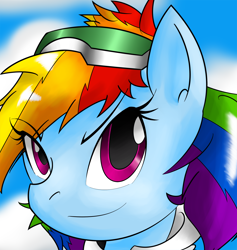 Size: 1336x1412 | Tagged: safe, artist:flam3zero, rainbow dash, pegasus, pony, bust, clothes, cosplay, crossover, portrait, solo, sonic adventure 2, sonic the hedgehog (series)