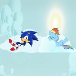 Size: 4500x4500 | Tagged: safe, rainbow dash, pegasus, pony, absurd resolution, cloud, cloudy, crossover, sonic the hedgehog, sonic the hedgehog (series), vector