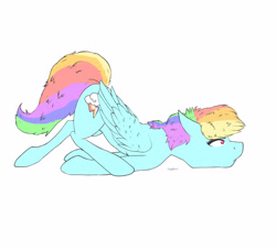 Size: 2899x2633 | Tagged: safe, artist:kibastar521, rainbow dash, pegasus, pony, blue coat, female, mare, multicolored mane, simple background, solo, white background, wings