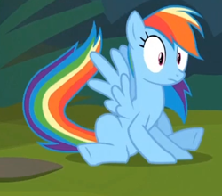 Size: 413x363 | Tagged: safe, screencap, rainbow dash, pegasus, pony, daring don't, shocked, sitting, solo