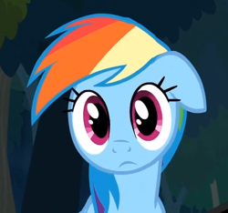 Size: 447x419 | Tagged: safe, screencap, rainbow dash, pegasus, pony, daring don't, cute, floppy ears, solo