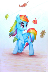 Size: 800x1185 | Tagged: safe, artist:dr-evil---lilu, rainbow dash, pegasus, pony, leaves, solo, traditional art