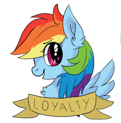 Size: 1024x1041 | Tagged: safe, artist:zombietoasts, rainbow dash, pegasus, pony, bust, old banner, portrait, solo