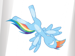 Size: 1600x1200 | Tagged: safe, artist:kuren247, rainbow dash, pegasus, pony, against glass, fail, solo