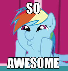 Size: 462x480 | Tagged: safe, edit, edited screencap, screencap, rainbow dash, pegasus, pony, applebuck season, dashface, image macro, impact font, meme, so awesome, solo