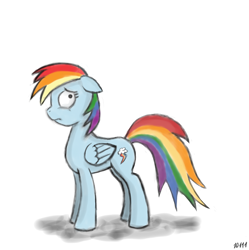 Size: 1904x1912 | Tagged: safe, artist:10111, rainbow dash, pegasus, pony, blue coat, female, mare, multicolored mane, simple background, solo, white background, wings