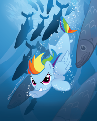 Size: 450x563 | Tagged: safe, artist:inki-drop, rainbow dash, fish, merpony, bubble, glare, grin, looking at you, school of fish, smiling, species swap, underwater