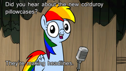 Size: 1024x576 | Tagged: safe, rainbow dash, pegasus, pony, blue coat, dialogue, female, image macro, looking at you, mare, meme, microphone, multicolored mane, multicolored tail, open mouth, pun, rainbow dash presents, rainbow's pun, smiling, solo, talking to viewer