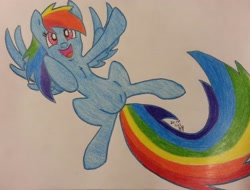 Size: 2544x1931 | Tagged: safe, artist:dawnshadow187, rainbow dash, pegasus, pony, blue coat, female, mare, multicolored mane, solo, traditional art