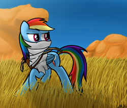 Size: 950x805 | Tagged: safe, artist:mang, rainbow dash, pegasus, pony, archer dash, arrow, bow (weapon), bow and arrow, clothes, feminism, grass, mask, mountain, rainbow sass, rust, solo, weapon