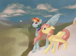 Size: 1024x745 | Tagged: safe, artist:spikedragonart, fluttershy, rainbow dash, pegasus, pony, cloud, cloudy, colored, flower, wings