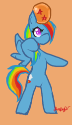 Size: 332x572 | Tagged: safe, artist:thelittledixie, rainbow dash, pegasus, pony, dragon ball, dragon ball (object), dragon ball z, solo