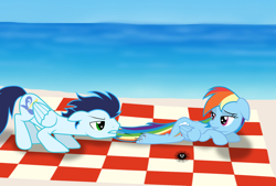 Size: 1024x691 | Tagged: safe, artist:rulette, rainbow dash, soarin', pegasus, pony, blood, female, male, sea urchin, shipping, soarindash, straight