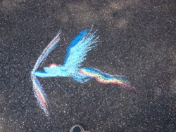 Size: 1280x960 | Tagged: safe, rainbow dash, chalk, chalk drawing, irl, solo, traditional art