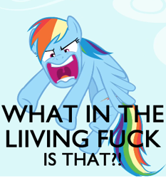 Size: 307x329 | Tagged: safe, edit, edited screencap, screencap, rainbow dash, pegasus, pony, angry, flying, image macro, meme, vulgar