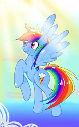 Size: 3780x6089 | Tagged: safe, artist:p3rs00n4, rainbow dash, pegasus, pony, female, mare, simple background, solo