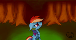 Size: 4096x2160 | Tagged: safe, artist:chickensteve, rainbow dash, pegasus, pony, detailed background, female, mare, solo