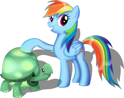 Size: 7581x6000 | Tagged: safe, artist:plsim, rainbow dash, tank, pegasus, pony, tortoise, absurd resolution, female, male, mare