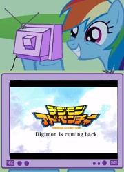 Size: 724x1008 | Tagged: safe, rainbow dash, pegasus, pony, digimon, digimon adventure, exploitable meme, meme, obligatory pony, tv meme