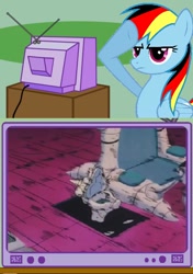 Size: 492x700 | Tagged: safe, rainbow dash, pegasus, pony, dragonball z abridged, exploitable meme, german dash, meme, obligatory pony, toilet, tv meme