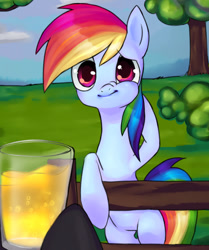 Size: 701x837 | Tagged: safe, artist:bakemono-san, rainbow dash, pegasus, pony, cider, looking at you, not urine