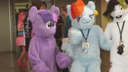 Size: 500x281 | Tagged: safe, rainbow dash, twilight sparkle, oc, oc:trance sequence, human, bronycon, cosplay, costume, fursuit, irl, irl human, photo